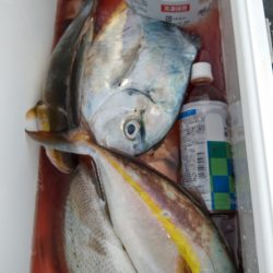 遊漁船 新鋭丸 釣果