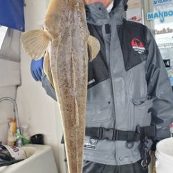 遊漁船 ニライカナイ 釣果