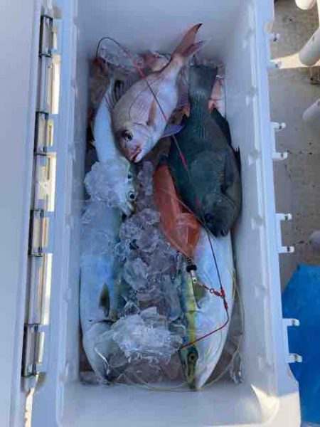 龍宮丸 釣果