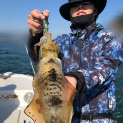 Magic(マジック) 釣果