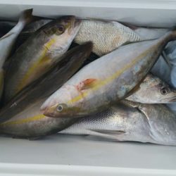 第五慶門丸 釣果