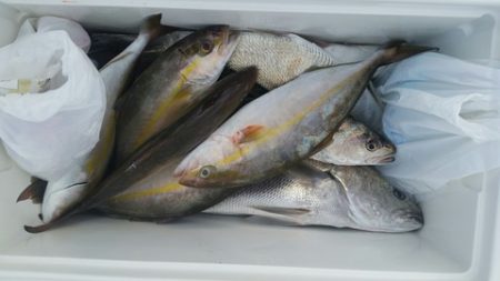 第五慶門丸 釣果