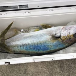 八海丸 釣果