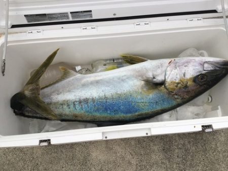 八海丸 釣果