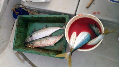 弘福丸 釣果