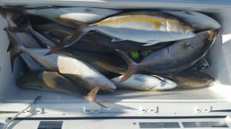 第五慶門丸 釣果