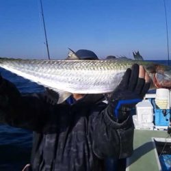 さわ浦丸 釣果