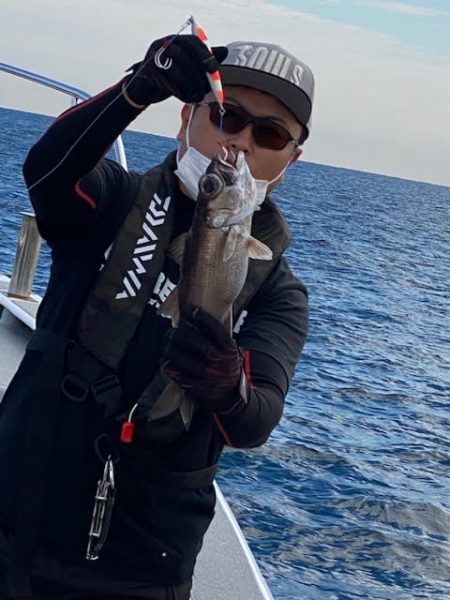 へいみつ丸 釣果