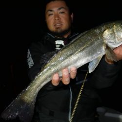 TOPGUN名古屋 釣果