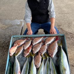 明神釣船 釣果