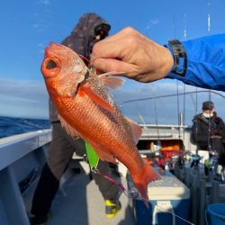 へいみつ丸 釣果