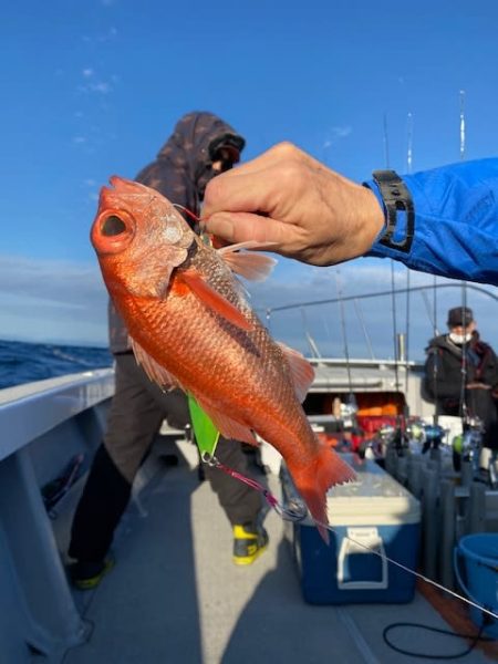 へいみつ丸 釣果