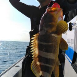 遊漁船 新鋭丸 釣果