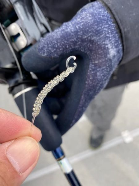 へいみつ丸 釣果