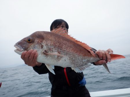 遊漁船 遊友 釣果