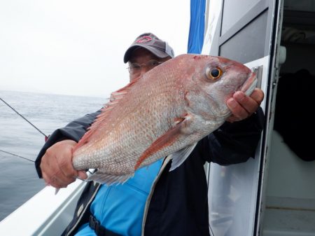 遊漁船 遊友 釣果