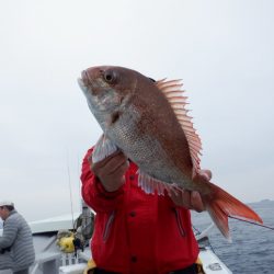 遊漁船 遊友 釣果