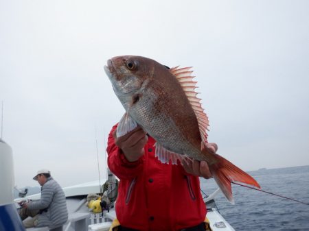 遊漁船 遊友 釣果