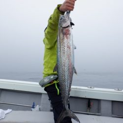 遊漁船 遊友 釣果