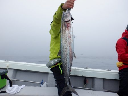 遊漁船 遊友 釣果