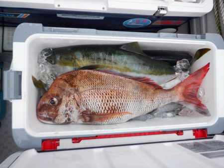 遊漁船 遊友 釣果