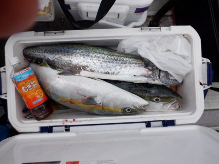 遊漁船 遊友 釣果