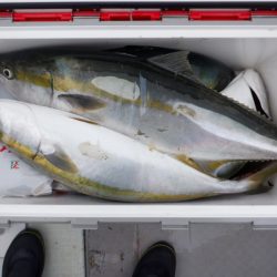 遊漁船 遊友 釣果