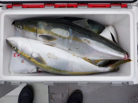 遊漁船 遊友 釣果