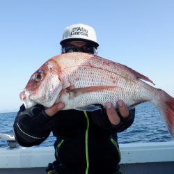 遊漁船 遊友 釣果