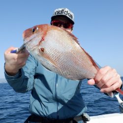 遊漁船 遊友 釣果