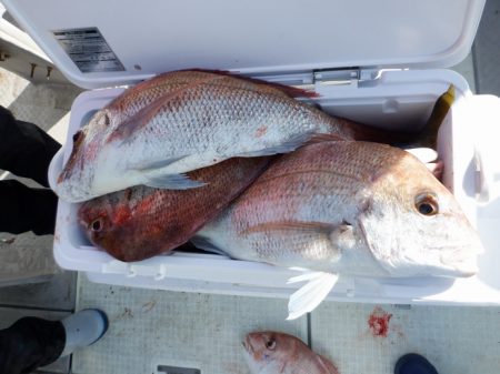 遊漁船 遊友 釣果