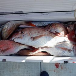 遊漁船 遊友 釣果