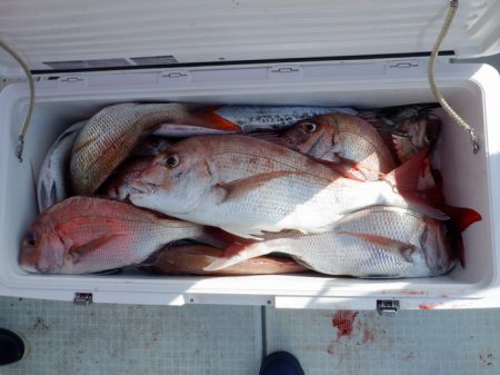 遊漁船 遊友 釣果