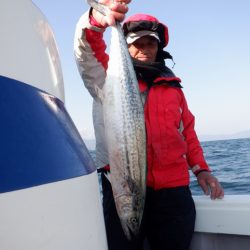 遊漁船 遊友 釣果