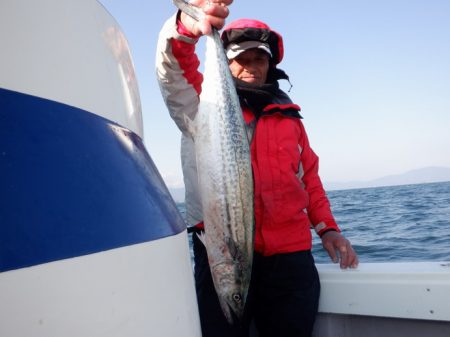 遊漁船 遊友 釣果