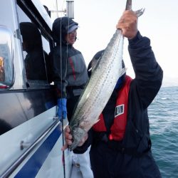 遊漁船 遊友 釣果