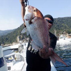 遊漁船 遊友 釣果