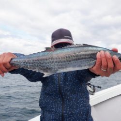 遊漁船 遊友 釣果