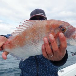 遊漁船 遊友 釣果