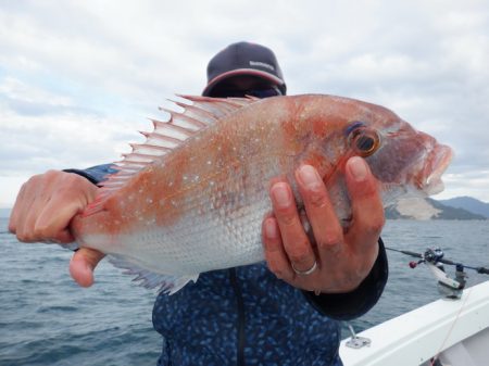 遊漁船 遊友 釣果