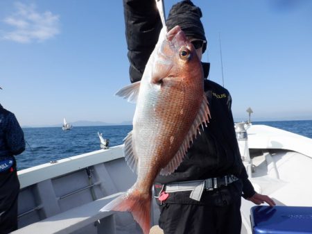 遊漁船 遊友 釣果