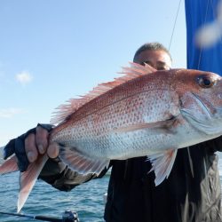 遊漁船 遊友 釣果