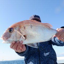 遊漁船 遊友 釣果