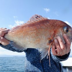 遊漁船 遊友 釣果