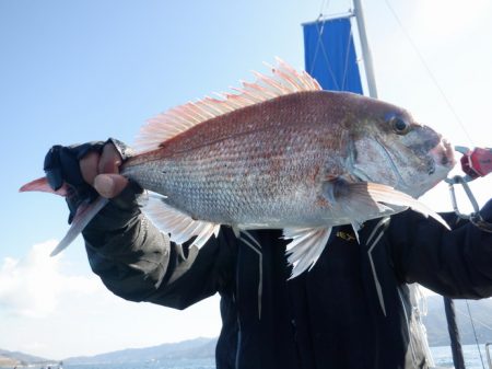 遊漁船 遊友 釣果