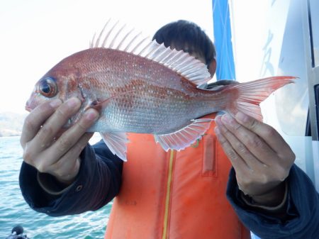 遊漁船 遊友 釣果