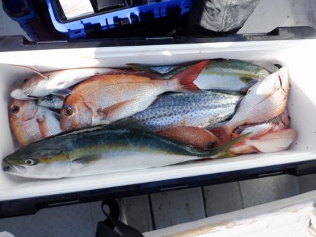 遊漁船 遊友 釣果