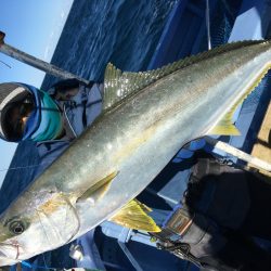 松鶴丸 釣果