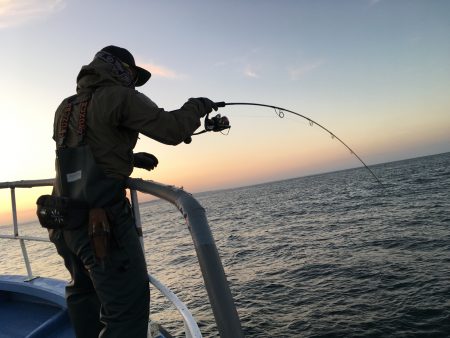 松鶴丸 釣果