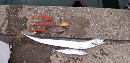 和丸(三重) 釣果